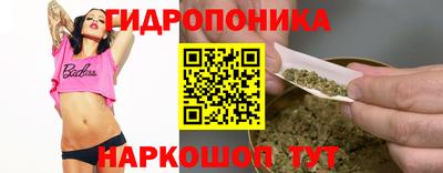 гидра Заволжье
